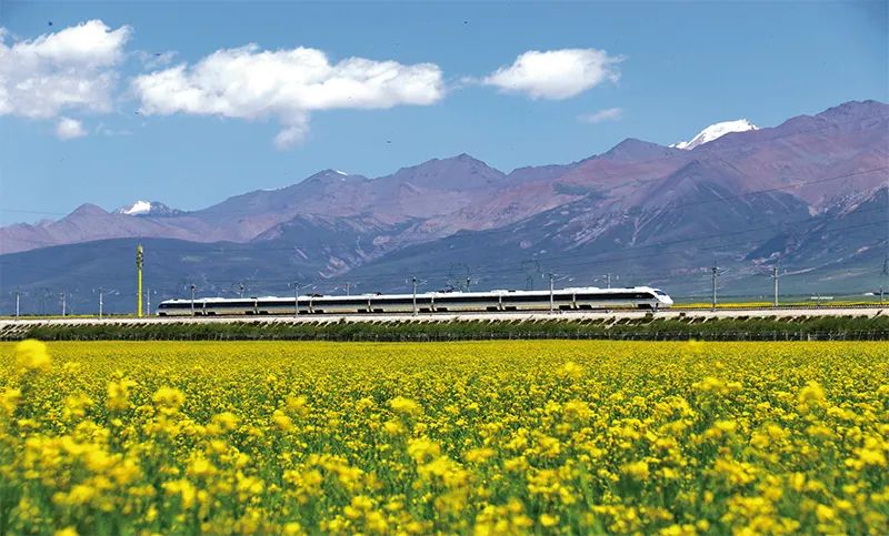 張玉卓、國資、央企、國資委、書記、主任、國企、企業(yè)改革